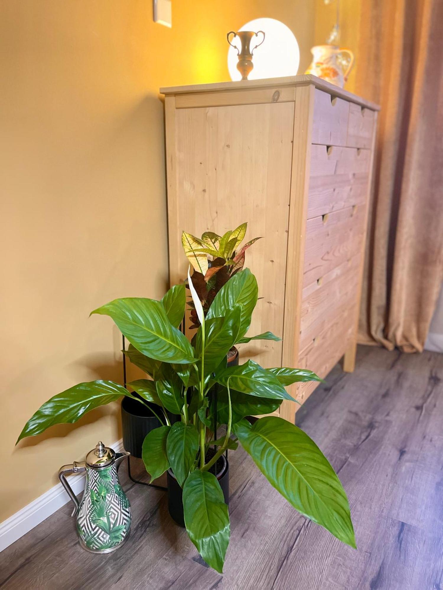 Terracotta Apartment - Zentral, Parken, Netflix, Kontaktloses Einchecken, Kingsize-Bett وبرتال المظهر الخارجي الصورة
